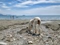 Zakynthos Greece
