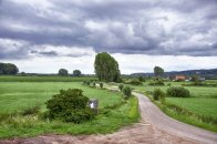 Onderweg naar de Bizonbaai