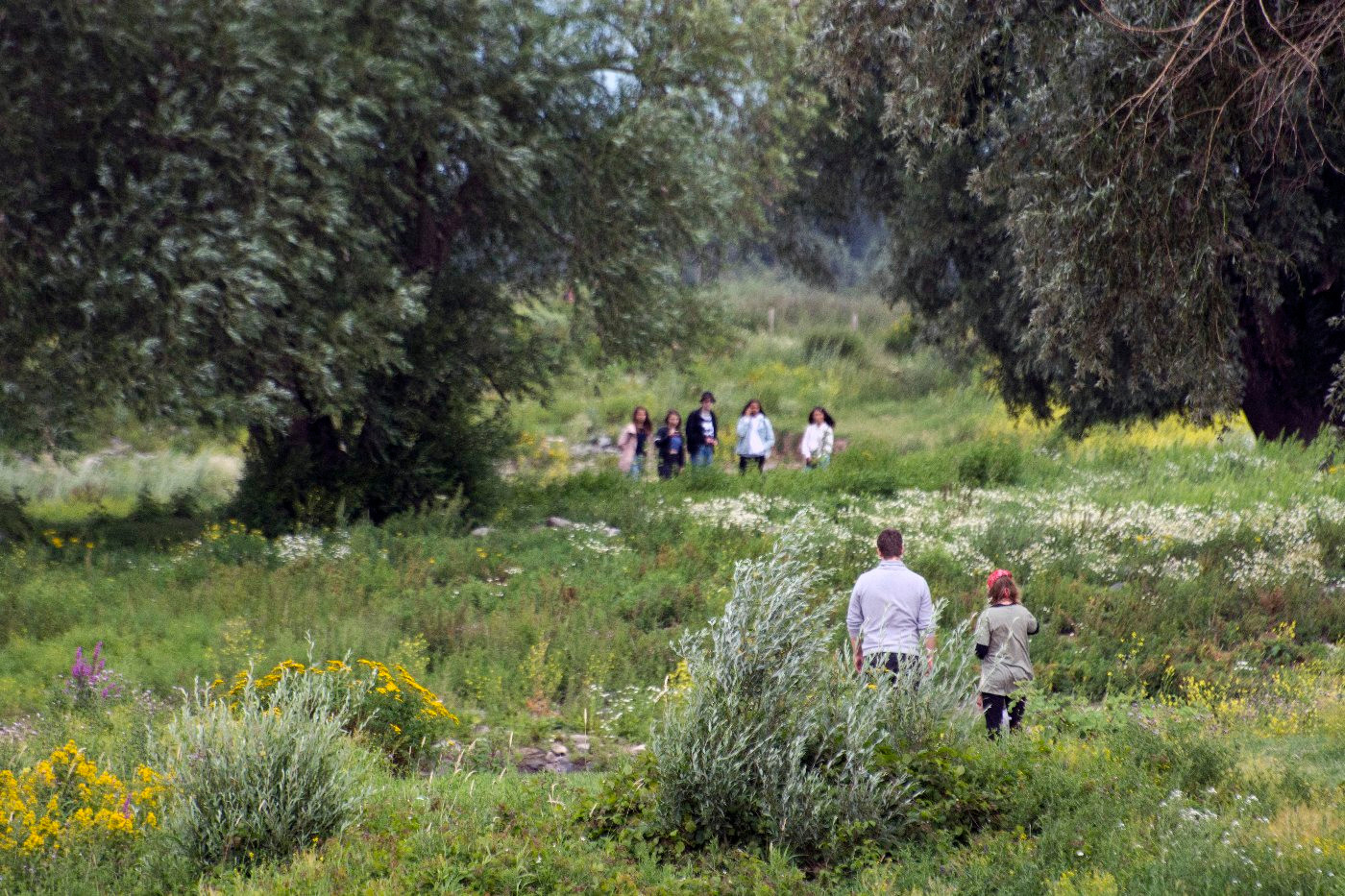 Onderweg naar de Bizonbaai
