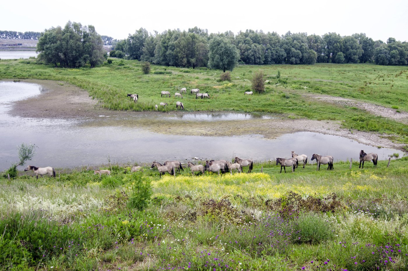 Onderweg naar de Bizonbaai