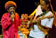 Cocoa Tea | LuxorLive Arnhem