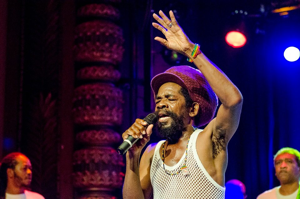 Cocoa Tea | LuxorLive Arnhem