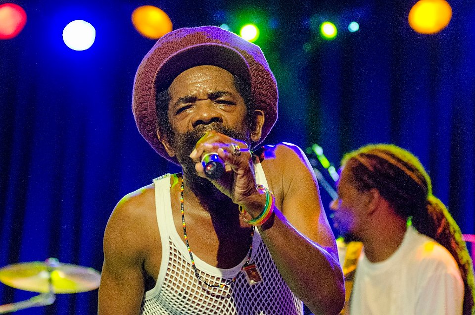 Cocoa Tea | LuxorLive Arnhem