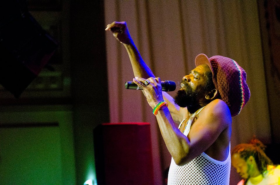 Cocoa Tea | LuxorLive Arnhem