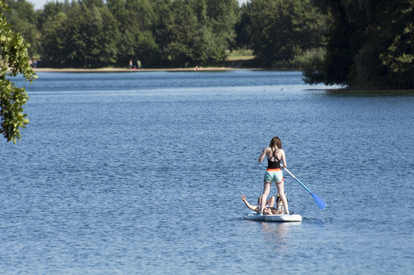 De Linge van Doornenburg naar Elst