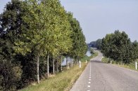 Langs de Linge Elst - Amsterdam Rijn kanaal