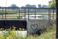 Langs de Linge Elst - Amsterdam Rijn kanaal