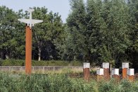 Langs de Linge Elst - Amsterdam Rijn kanaal