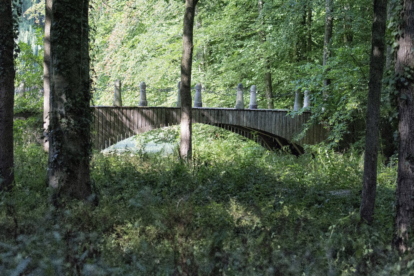Langs de Linge Elst - Amsterdam Rijn kanaal