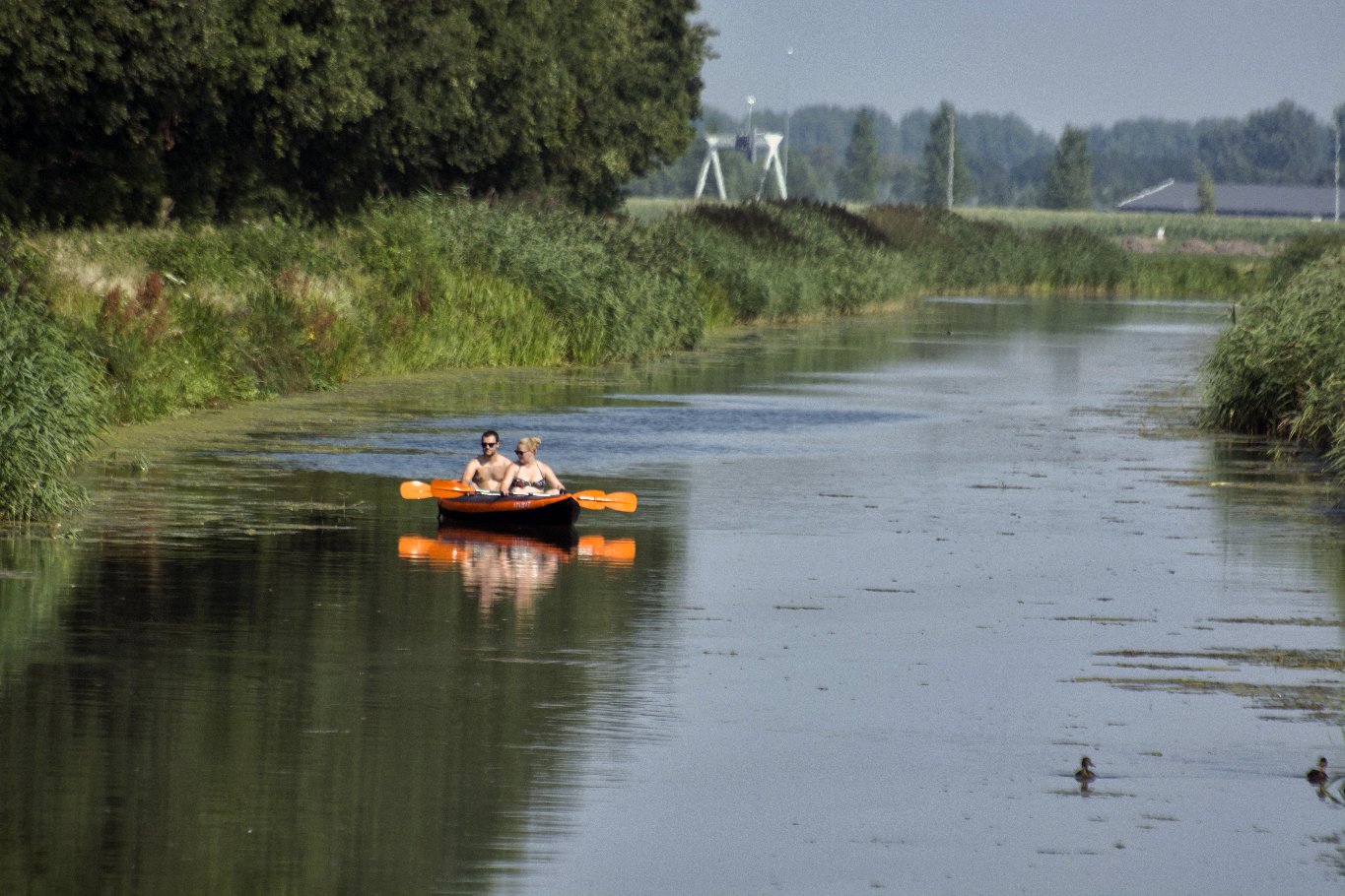 Langs de Linge Elst - Amsterdam Rijn kanaal