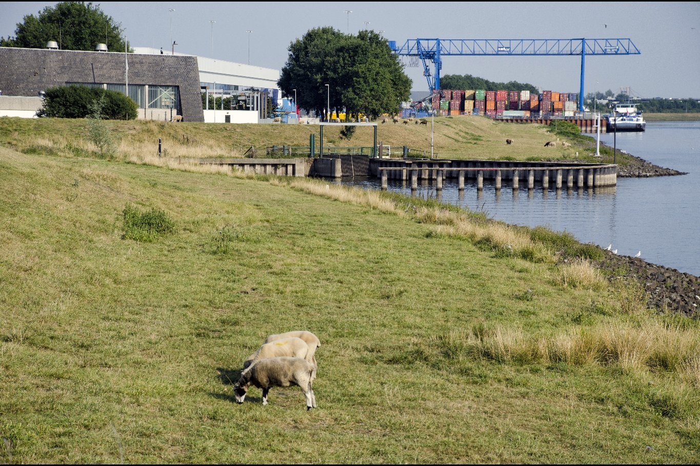 Langs de Linge Elst - Amsterdam Rijn kanaal