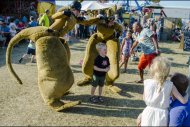 Festival op het eiland vr 21 juli 2017