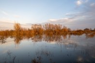Hoog water Nijmegen 2021