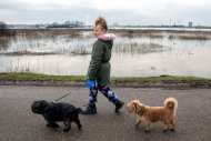 Hoog water Nijmegen 2021