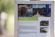 Mookerheide | foto © Henk Beenen