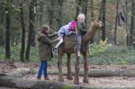 Museumpark Orientalis. Feest van Licht.