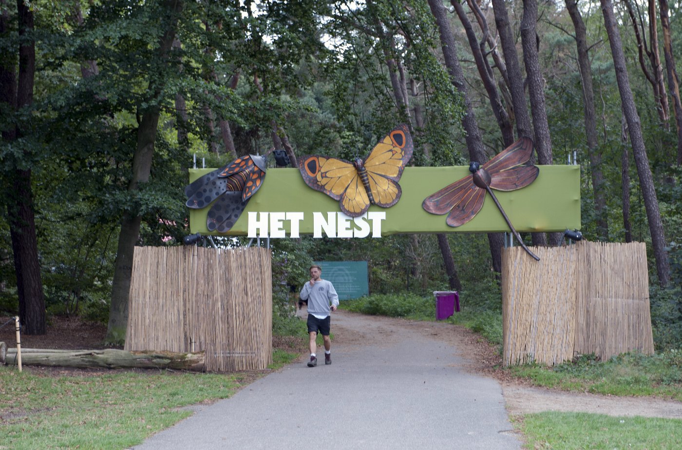 Nest in het park