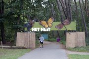 Nest in het park