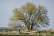 Ooijpoort Nijmegen
