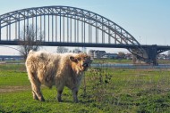 Ooijpoort Nijmegen