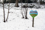 Sneeuw in Nijmegen