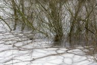 Winter 2021. Nijmegen