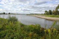 Langs het Meertje naar het Wylermeer.