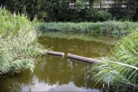 Langs het Meertje naar het Wylermeer.