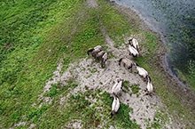 De Ooy vanuit de lucht De Ooy vanuit de lucht