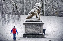 Sneeuwdag in Nijmegen Sneeuwdag in Nijmegen